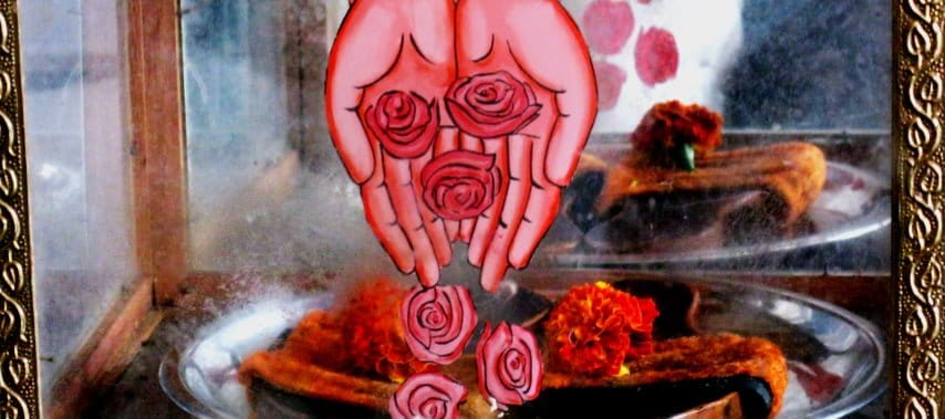 hands offering roses
