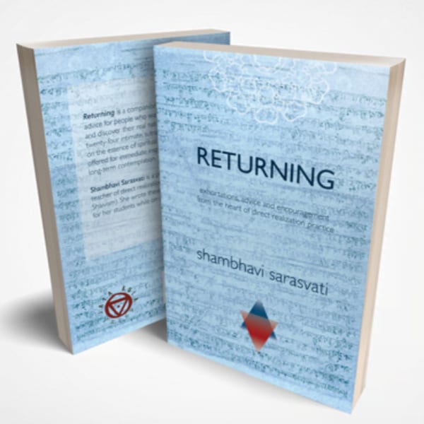 Returning Book Cover